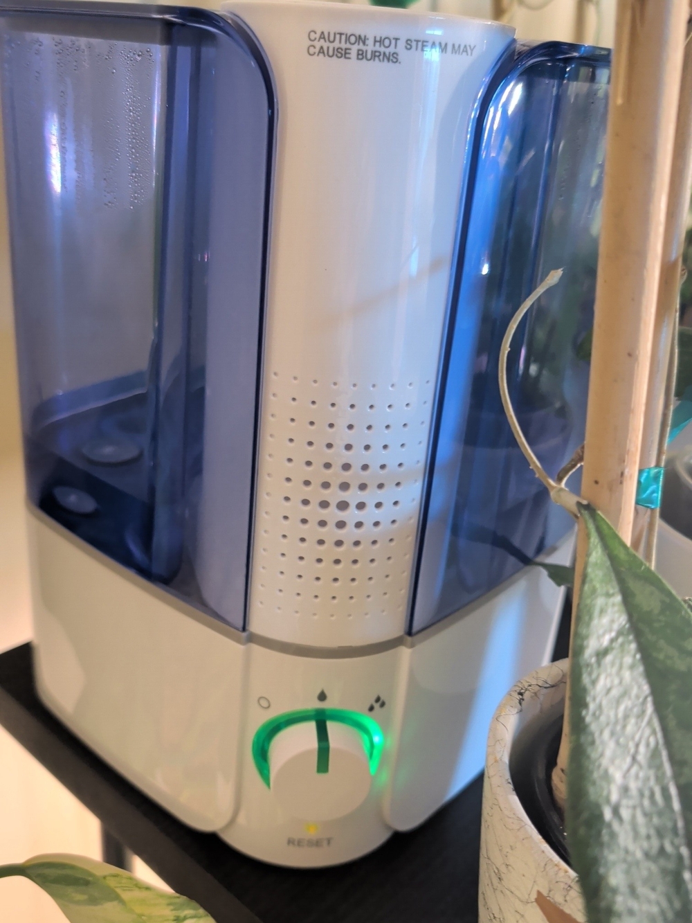 Ultrasonic Cool Mist Humidifier - Blue/White